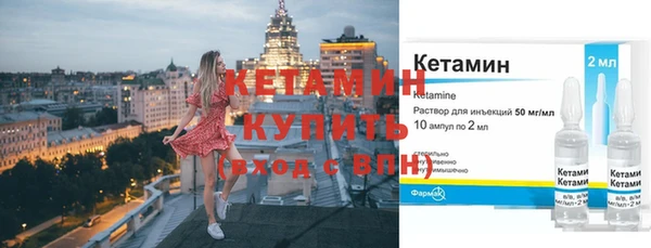 твердый Дмитровск