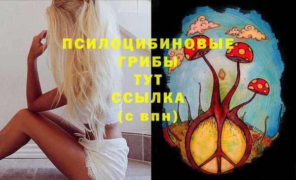 spice Дмитров