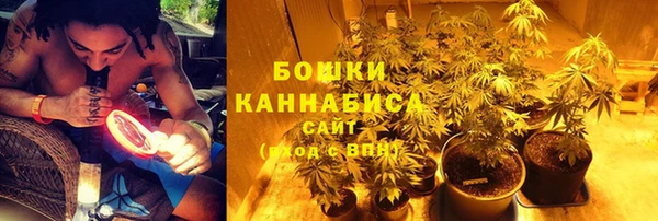 дживик Елизово