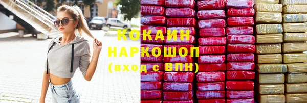 твердый Дмитровск