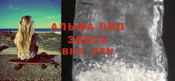 твердый Дмитровск