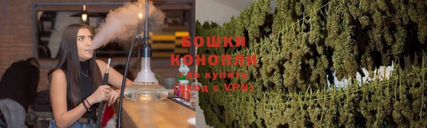твердый Дмитровск