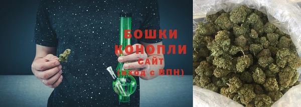 твердый Дмитровск